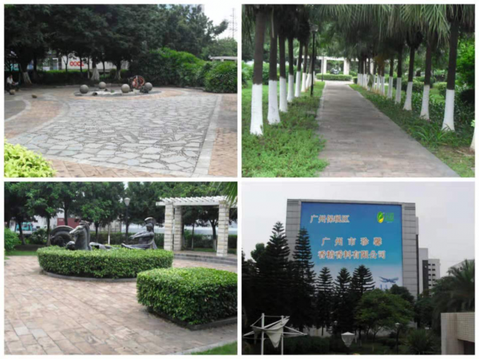 Sabores de helado altamente concentrados Sabores de frutas de pasión Para hacer helado 10