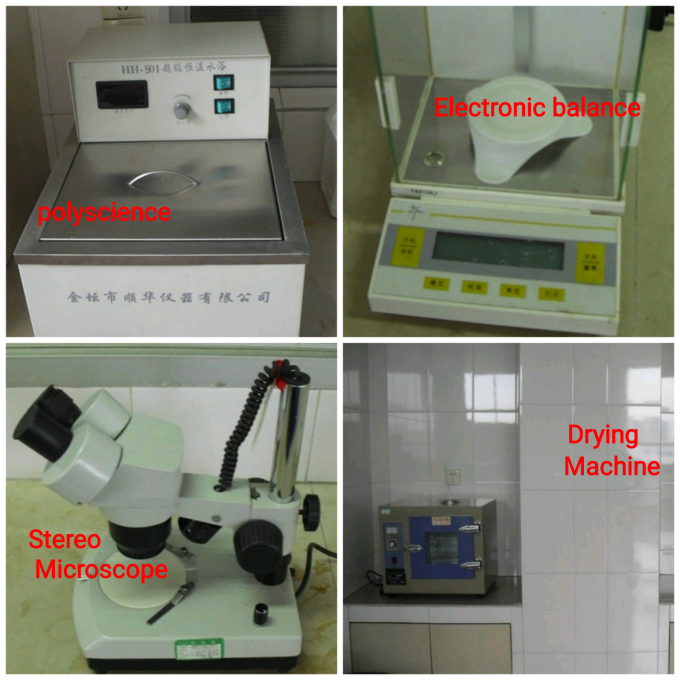 Sabores de helado altamente concentrados Sabores de frutas de pasión Para hacer helado 13