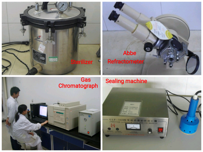 Aromas de las velas de uva de diseño de piña Aromas puros para la fabricación de velas 9