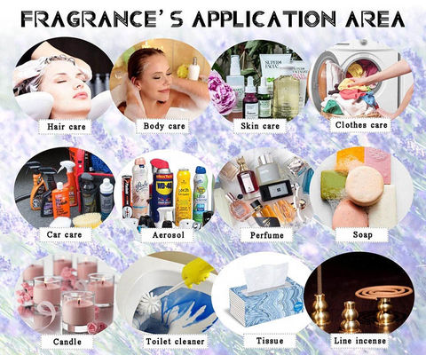High Quality Original Fragrance Oil For Perfume