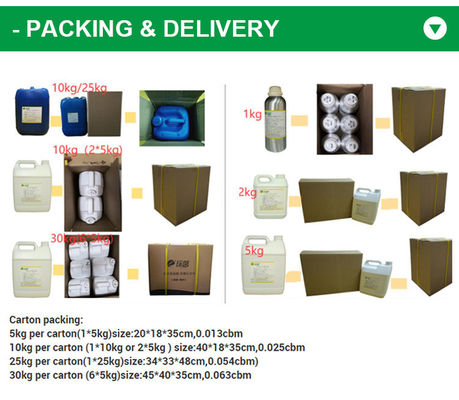 Luxury Brand Perfume Fragrance Wholesale Bulk Arabian Perfume Essential Oil Manufacturer Brand Perfume Oil Fragrance and Scent