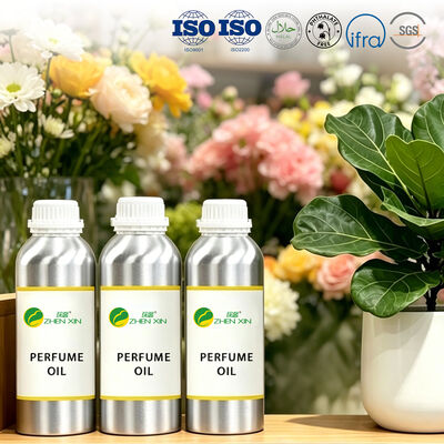 Dubai Luxury Brand Perfume Oil Long Lasting Perfume Fragrances mayorista