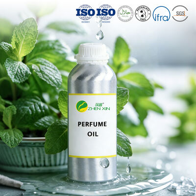 Venta al por mayor duradera de la fragancia del perfume del aceite de perfume de la marca respetuosa de Eco